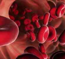 Sânge în urină a femeilor și bărbaților: cauze și tratament
