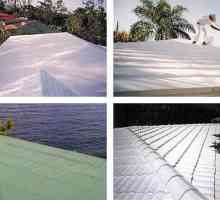 Mastic pentru acoperiș: tipuri și aplicații
