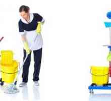 Cele mai mari companii de curățenie din Moscova sunt garanții pentru curățenia în casă și în birou
