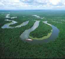 Cele mai mari râuri din America de Sud