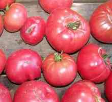 Varietate de rasă mare de selecție din Siberia - secret Babushkin (tomate)