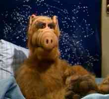 Cine este Alf? Actorul se ascunde în spatele păpușilor. `Alf`: actori și roluri