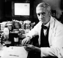 Cine a descoperit penicilina? Istoria descoperirii penicilinei