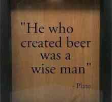 Cine a inventat berea? Istoria aspectului băuturii