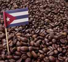 Cafeneaua cubaneză: caracteristici, beneficii și soiuri populare