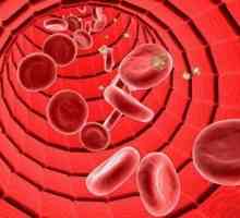 Unde sunt substanțele nocive purtate de sânge? Funcția de protecție a fluidului corporal