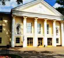 Teatru de papusi (Lipetsk): istorie, repertoriu, trupa