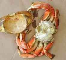 Arta culinară: cum să gătești crabi?