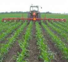 Cultivarea este principala cale de cultivare a solului în agricultură