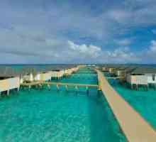 Amari Havodda Maldive Resort - opinie, caracteristici și comentarii