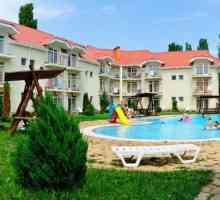 Resort hotel și centru de agrement `Dolphin` (Koblevo)