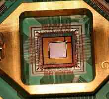 Procesor cuantic: descriere, principiu de funcționare
