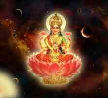 Lakshmi: zeița armoniei și a prosperității