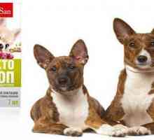 "Lakto-Stop" pentru câini: indicații, instrucțiuni de utilizare, recenzii