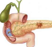 Tratamentul pancreasului cu pastile. Pastile din pancreas. Boala pancreatică: tratament