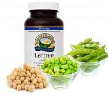 `Lecithin NSP` - un supliment alimentar de neînlocuit pentru o persoană modernă