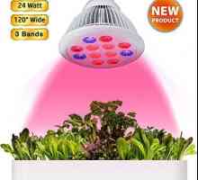 Lampă LED pentru plante: tipuri, caracteristici. Cum sa faci fitolampul cu mainile tale