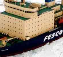Icebreaker `Căpitanul Khlebnikov`: plutind Groenlanda