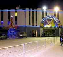 Palatul de gheață (Murmansk) - centrul de divertisment și viața sportivă a orașului