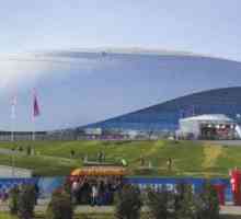 Ice Palace Sochi `Big`: o descriere a modului de a ajunge acolo