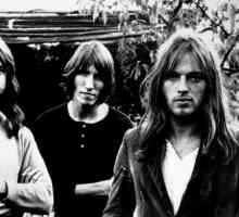 Legendara formație britanică rock Pink Floyd: istorie și dezintegrare
