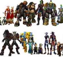 Legendarul joc WarCraft. Caracteristici, capabilități, rase `Warcraft `