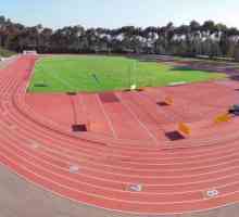 Track and field arena atletica: fotografie, design, descoperire, cursuri în teren și atletism arena…
