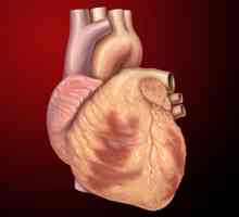 Inima pulmonară: cauze, semne, tratament, diagnostic