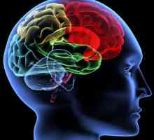 Leukoareoza cerebrală: simptome, cauze, tratament