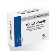 Medicamentul "Chondroguard": instrucțiuni de utilizare, descrierea medicamentului,…