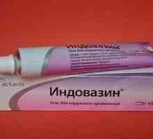 Medicamentul "Indovozin" (gel). instrucție