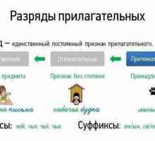 Categorii literare și gramaticale de adjective. Limba rusă
