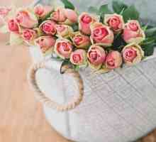 Petale de trandafiri - ce puteți face cu ele, idei interesante și recomandări