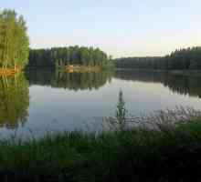 Lacul de pădure din Sergiev Posad: pescuit, vacanță pe plajă, cum să ajungi