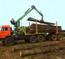 Camioane de lemn "KamAZ": o scurtă trecere în revistă