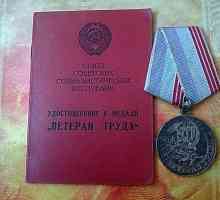 Beneficii veteran din regiunea Sverdlovsk. Care sunt beneficiile pentru veteranii din Sverdlovsk?