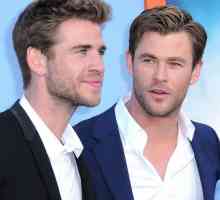 Liam Hemsworth și Chris Hemsworth: biografii, roluri, filme
