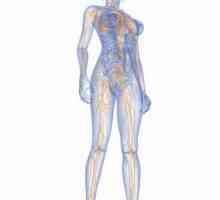 Nodul limfatic pe picior: locație, cauze de creștere și tratament