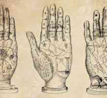 Linii de pe mână: tipuri și semnificații. Învățătura pentru începători