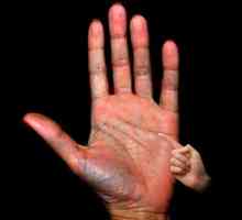Linia soarelui pe mâna în palmistru: sensul și interpretarea