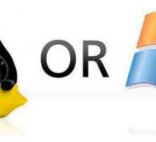 "Linux" sau "Winds" - ce este mai bine să alegi?