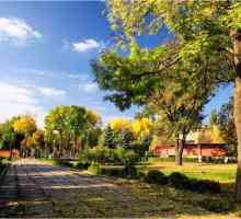 Lipetsk: Parcul de jos. Istoricul și descrierea obiectului