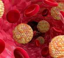 Lipoproteine ​​cu densitate mare (HDL): normale, scăzute și crescute