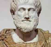 Logica lui Aristotel: Principii de bază