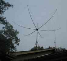 Antene logoperiodice: calculul dimensiunilor și caracteristicilor principale
