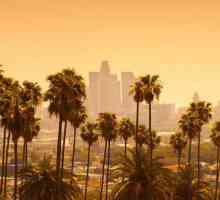 Los Angeles: populația. Numărul, compoziția rasială și etnică, imigranții