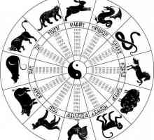 Cal și șarpe: compatibilitatea semnelor zodiacului