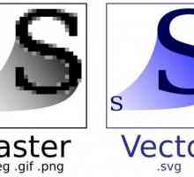 Cel mai bun program de grafică vectorială. Grafica vectorială 3D