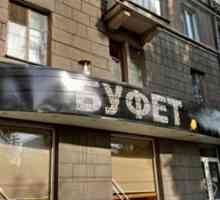 Cele mai bune baruri din Saratov: fotografii și recenzii