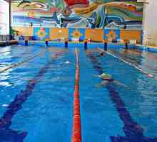 Cele mai bune piscine din Novosibirsk: unde să vă înscrieți la înot